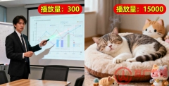 发了20条视频,粉丝42个,38个是同事”— 创始人做IP,前3个月到底在熬什么?
