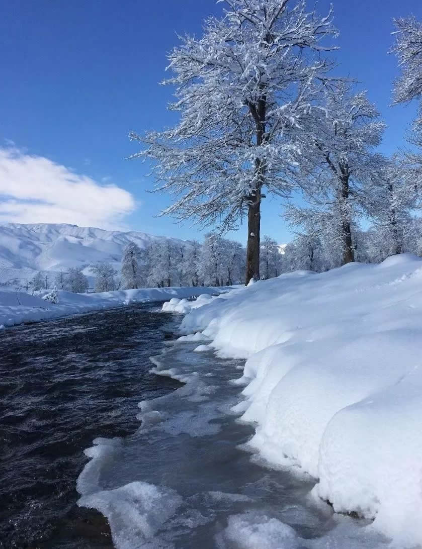 新疆8月下暴雪美景